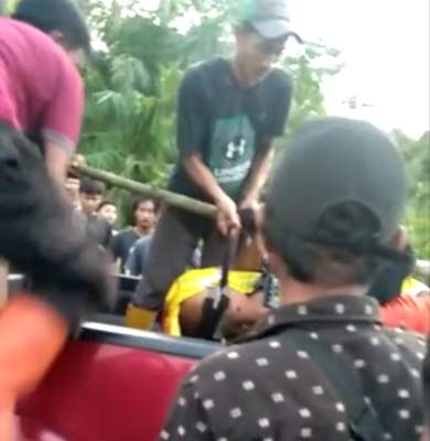Warga Siak Riau Diterkam Harimau, Mengenaskan! Kepala Terpisah dari Tubuh